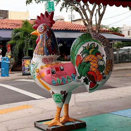 Apartament Comfortable Studio Near Calle Ocho In Miami Zewnętrze zdjęcie